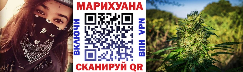 где найти   Пересвет  Канабис планчик 